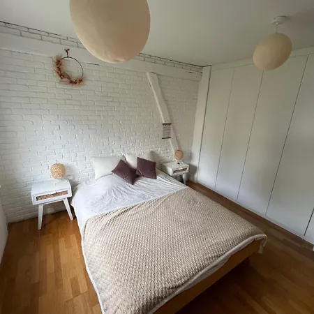 Cosy&elégant Appartamento Lingolsheim